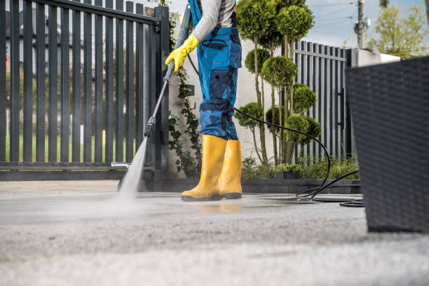 Professional  Pressure Washing Services in Cedar Creek, TX